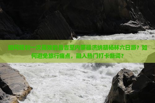 如何规划一次高效的昌吉至内蒙额济纳胡杨林六日游？如何避免旅行痛点，融入热门打卡新词？