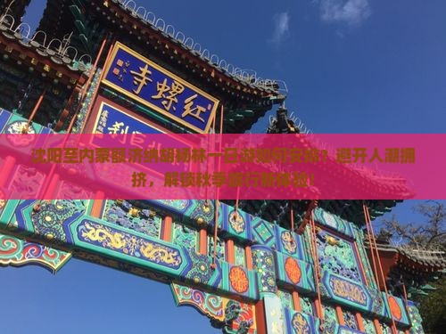 沈阳至内蒙额济纳胡杨林一日游如何安排？避开人潮拥挤，解锁秋季旅行新体验！