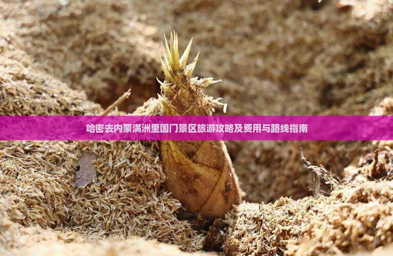 哈密去内蒙满洲里国门景区旅游攻略及费用与路线指南