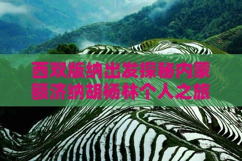 西双版纳出发探秘内蒙额济纳胡杨林个人之旅