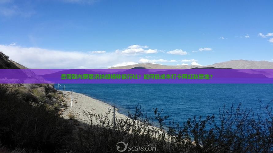 岳阳到内蒙额济纳胡杨林旅行社？如何低成本打卡网红秋景地？