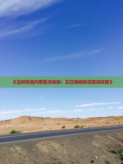 《玉树穿越内蒙额济纳旗：五日胡杨林深度游攻略》