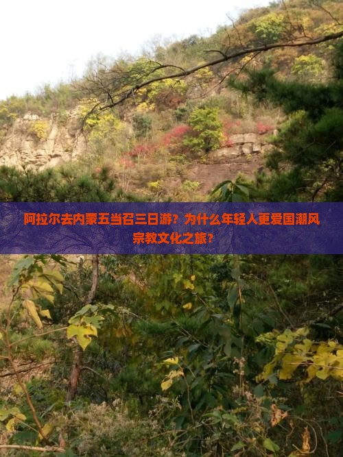 阿拉尔去内蒙五当召三日游？为什么年轻人更爱国潮风+宗教文化之旅？