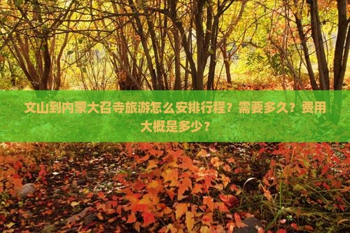 文山到内蒙大召寺旅游怎么安排行程？需要多久？费用大概是多少？