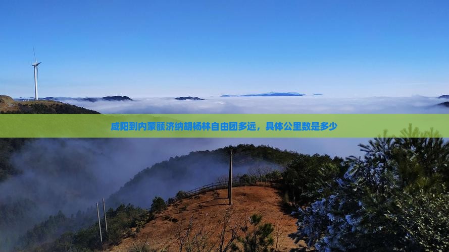 咸阳到内蒙额济纳胡杨林自由团多远，具体公里数是多少