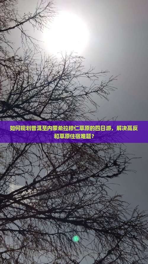 如何规划普洱至内蒙希拉穆仁草原的四日游，解决高反和草原住宿难题？
