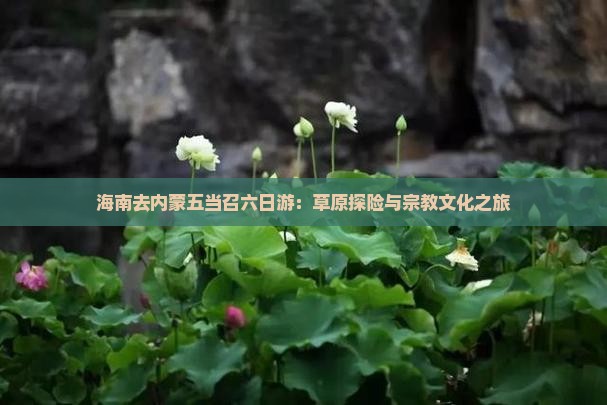 海南去内蒙五当召六日游：草原探险与宗教文化之旅