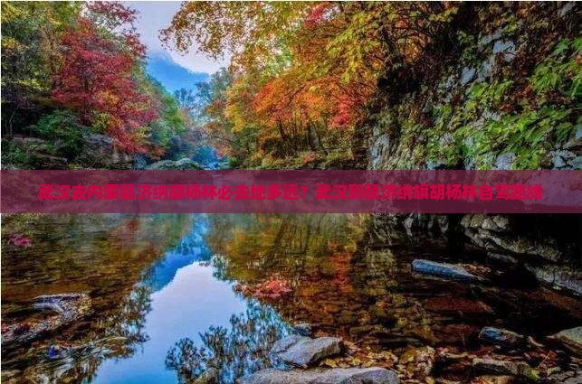 武汉去内蒙额济纳胡杨林必去地多远？武汉到额济纳旗胡杨林自驾路线