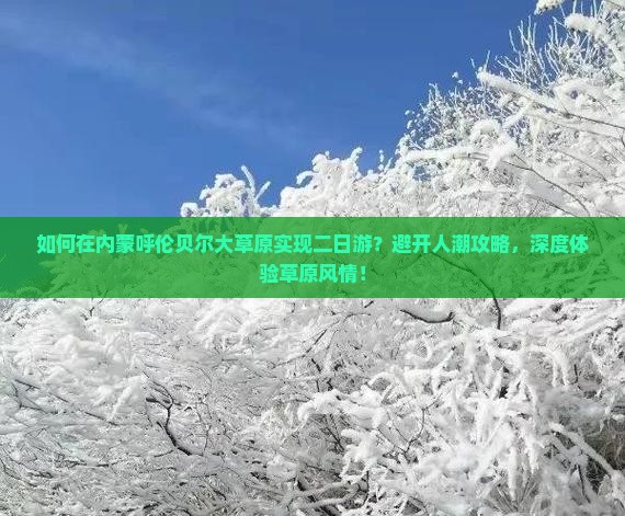 如何在内蒙呼伦贝尔大草原实现二日游？避开人潮攻略，深度体验草原风情！