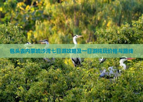 包头去内蒙响沙湾七日游攻略及一日游纯玩价格与路线