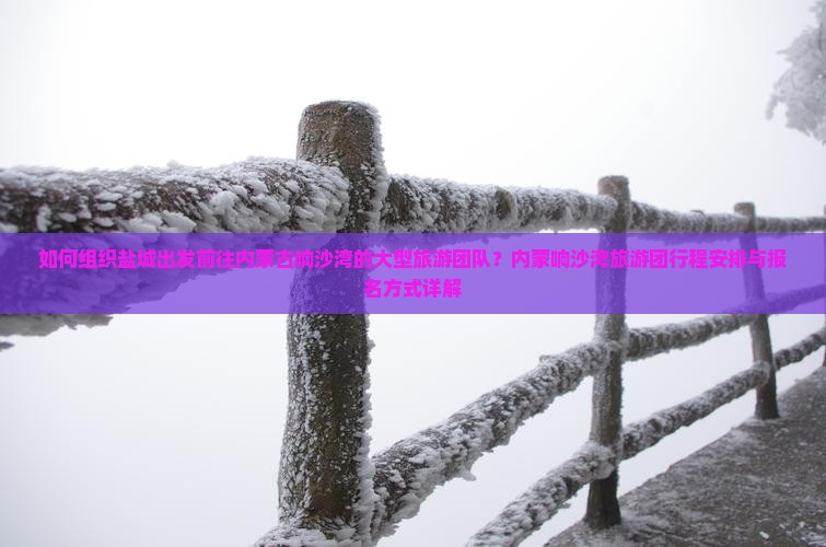 如何组织盐城出发前往内蒙古响沙湾的大型旅游团队？内蒙响沙湾旅游团行程安排与报名方式详解