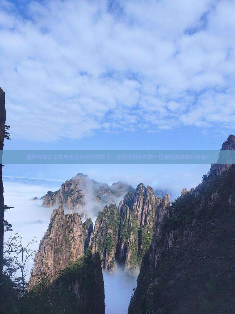 如何在保证工作与生活平衡的前提下，实现杭州到内蒙一日游的高效旅行体验？