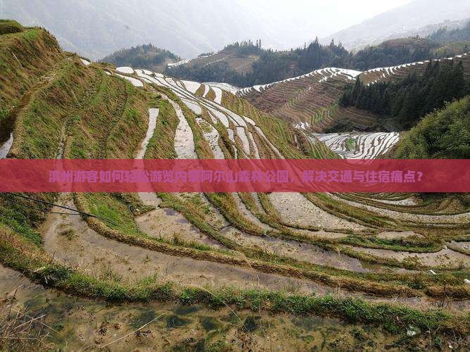 滨州游客如何轻松游览内蒙阿尔山森林公园，解决交通与住宿痛点？