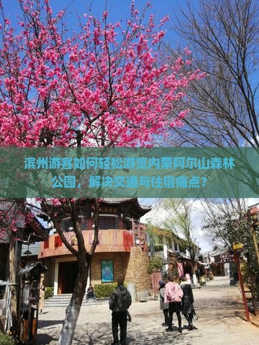 滨州游客如何轻松游览内蒙阿尔山森林公园，解决交通与住宿痛点？