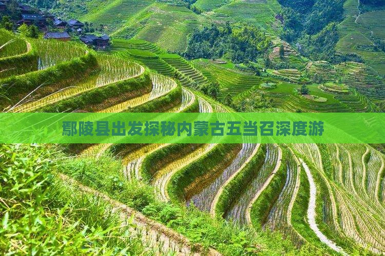 鄢陵县出发探秘内蒙古五当召深度游