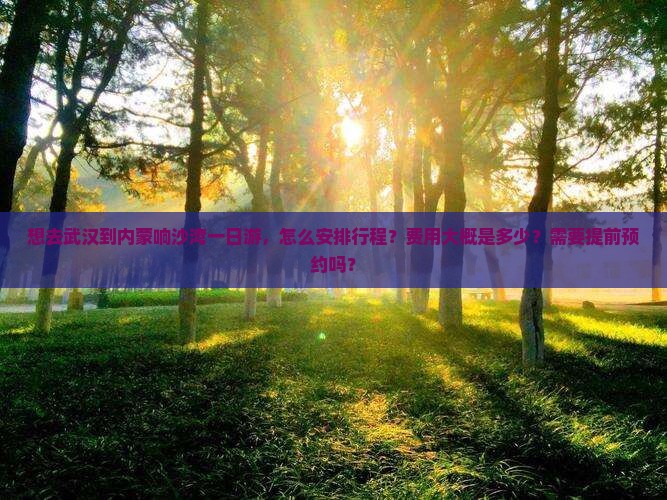 想去武汉到内蒙响沙湾一日游，怎么安排行程？费用大概是多少？需要提前预约吗？