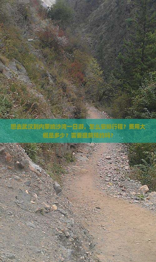 想去武汉到内蒙响沙湾一日游，怎么安排行程？费用大概是多少？需要提前预约吗？