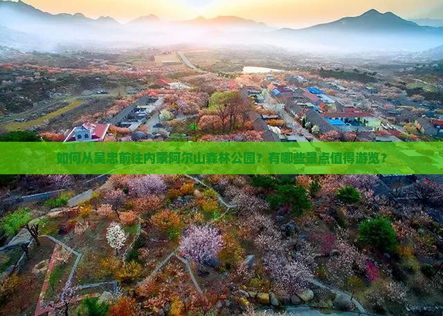 如何从吴忠前往内蒙阿尔山森林公园？有哪些景点值得游览？