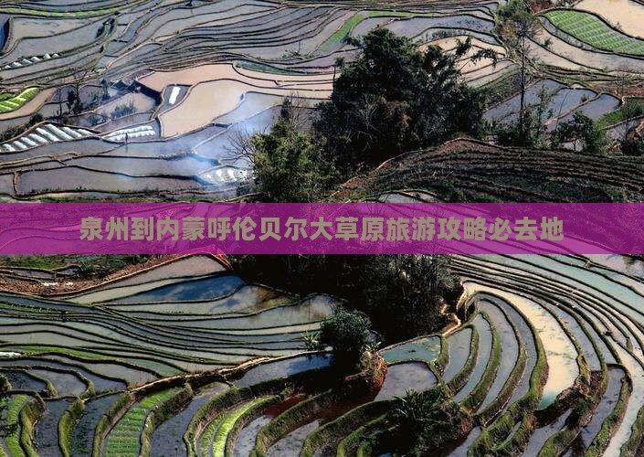 泉州到内蒙呼伦贝尔大草原旅游攻略必去地