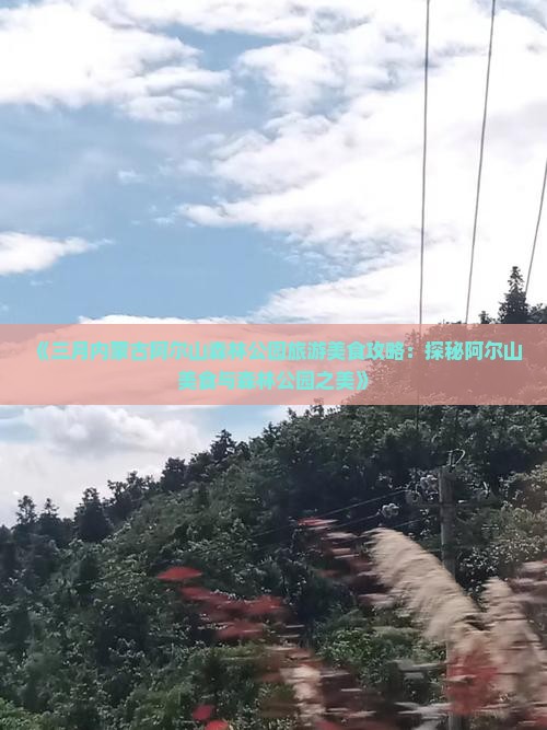 《三月内蒙古阿尔山森林公园旅游美食攻略：探秘阿尔山美食与森林公园之美》