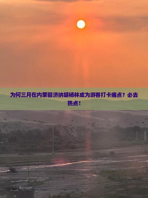 为何三月在内蒙额济纳胡杨林成为游客打卡痛点？必去热点！