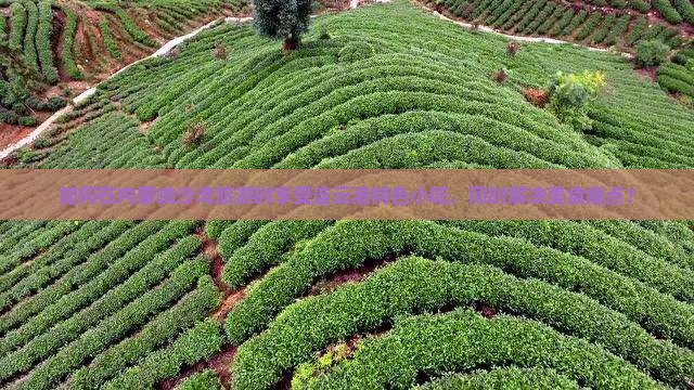 如何在内蒙响沙湾旅游时享受连云港特色小吃，同时解决美食痛点？