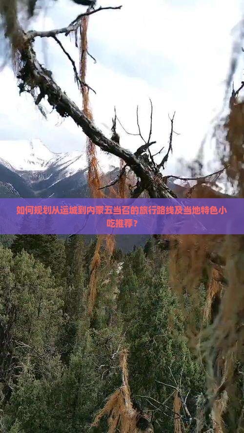 如何规划从运城到内蒙五当召的旅行路线及当地特色小吃推荐？