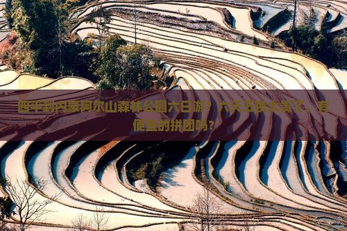 四平到内蒙阿尔山森林公园六日游？六天五夜太贵了，有便宜的拼团吗？