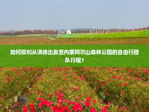 如何规划从清徐出发至内蒙阿尔山森林公园的自由行团队行程？