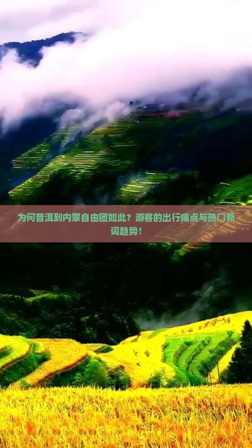 为何普洱到内蒙自由团如此？游客的出行痛点与热门新词趋势！