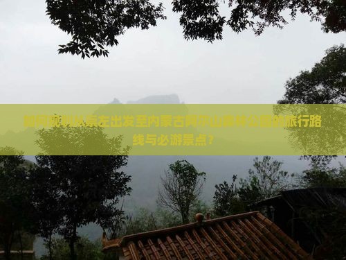 如何规划从崇左出发至内蒙古阿尔山森林公园的旅行路线与必游景点？