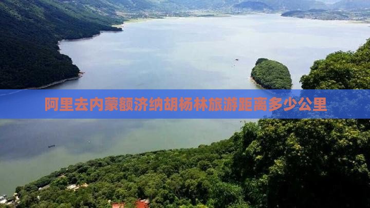 阿里去内蒙额济纳胡杨林旅游距离多少公里