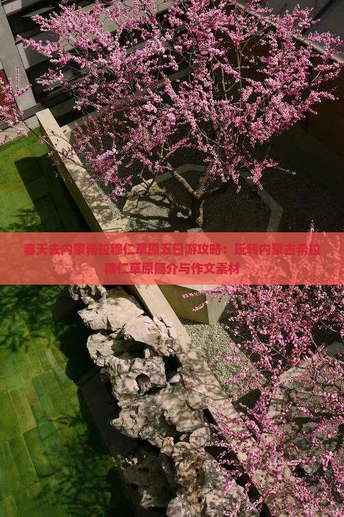 春天去内蒙希拉穆仁草原五日游攻略：玩转内蒙古希拉穆仁草原简介与作文素材
