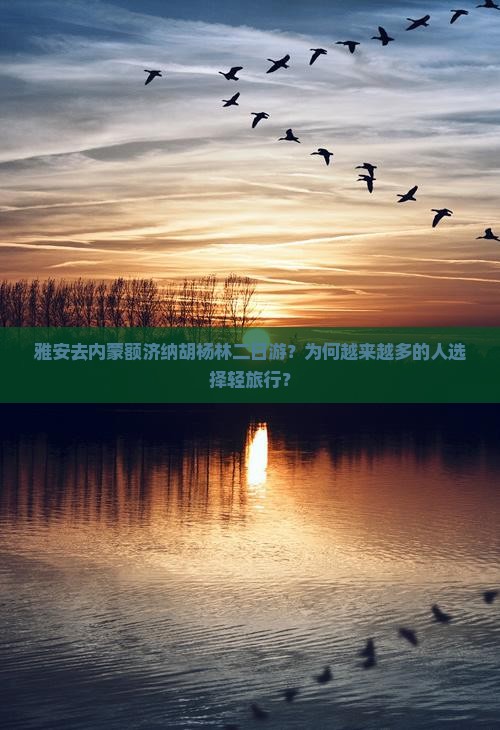 雅安去内蒙额济纳胡杨林二日游？为何越来越多的人选择轻旅行？