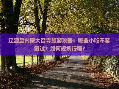 辽源至内蒙大召寺旅游攻略：哪些小吃不容错过？如何规划行程？