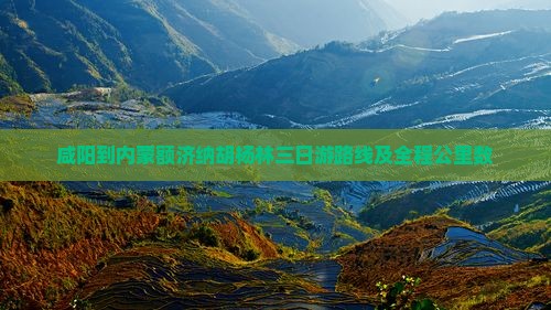 咸阳到内蒙额济纳胡杨林三日游路线及全程公里数