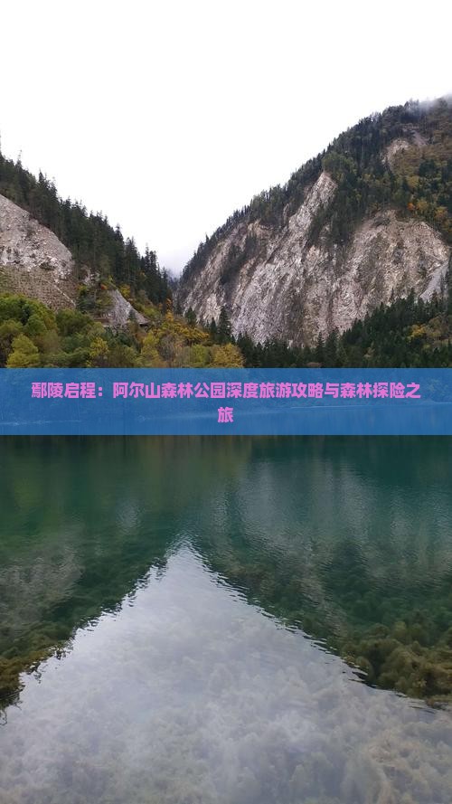鄢陵启程：阿尔山森林公园深度旅游攻略与森林探险之旅