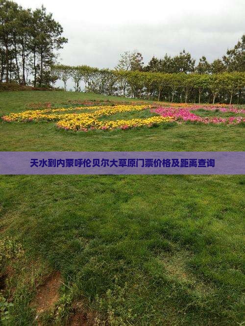 天水到内蒙呼伦贝尔大草原门票价格及距离查询