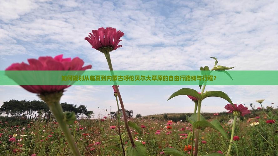 如何规划从临夏到内蒙古呼伦贝尔大草原的自由行路线与行程？