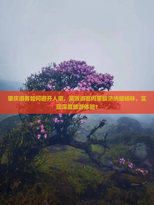 肇庆游客如何避开人潮，高效游览内蒙额济纳胡杨林，实现深度旅游体验？