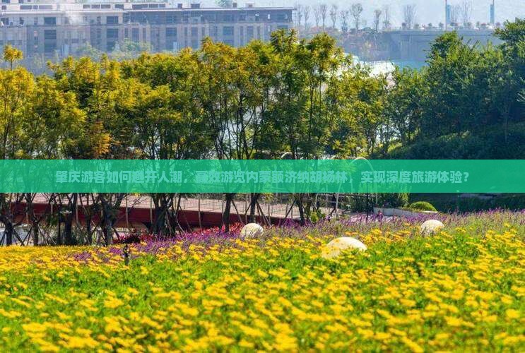 肇庆游客如何避开人潮，高效游览内蒙额济纳胡杨林，实现深度旅游体验？