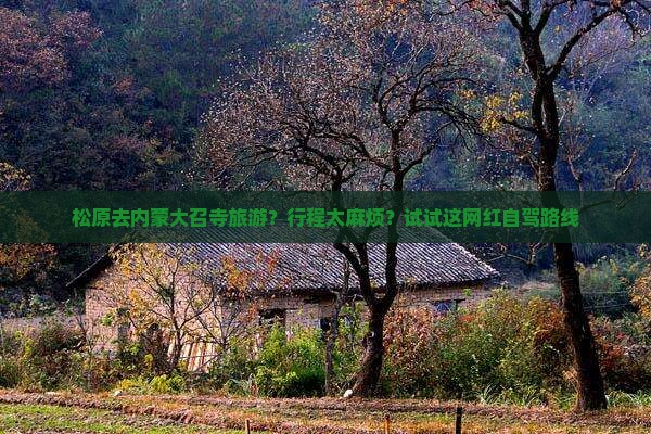 松原去内蒙大召寺旅游？行程太麻烦？试试这网红自驾路线