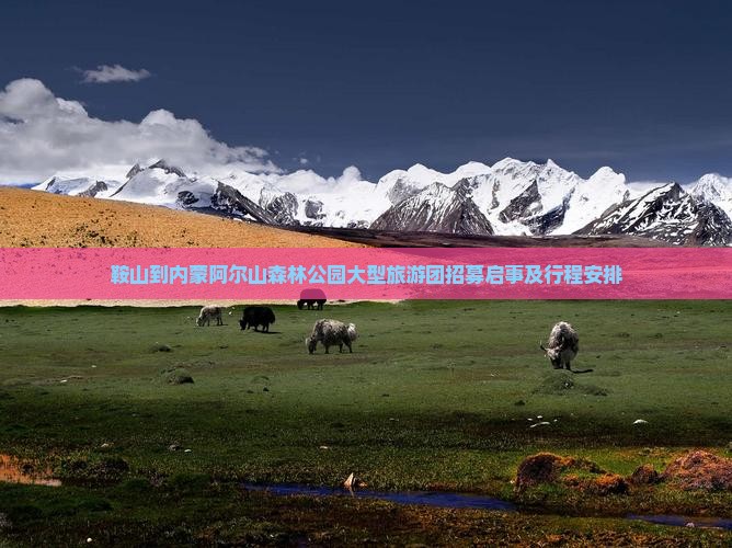 鞍山到内蒙阿尔山森林公园大型旅游团招募启事及行程安排