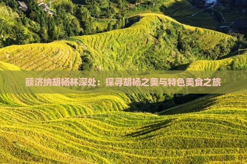 额济纳胡杨林深处：探寻胡杨之美与特色美食之旅
