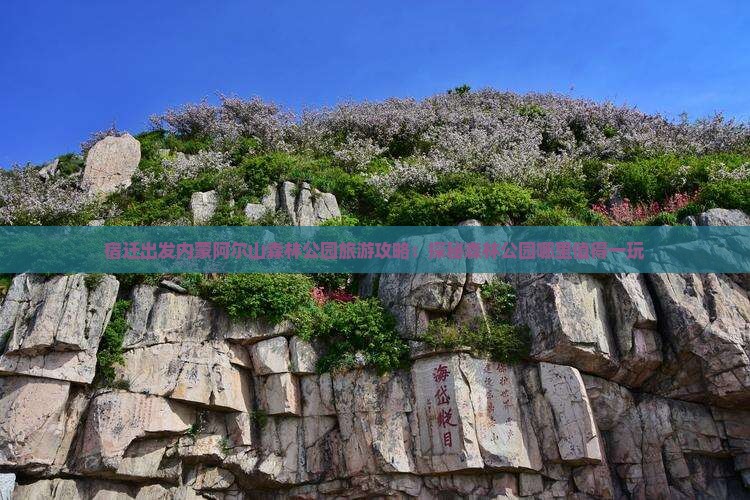宿迁出发内蒙阿尔山森林公园旅游攻略：探秘森林公园哪里值得一玩