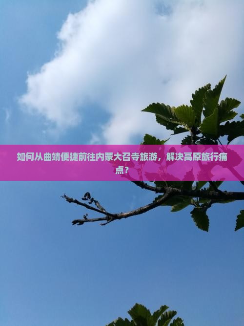 如何从曲靖便捷前往内蒙大召寺旅游，解决高原旅行痛点？