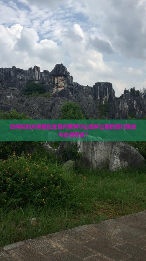 如何规划从莆田出发至内蒙阿尔山森林公园的旅行路线与必游景点？