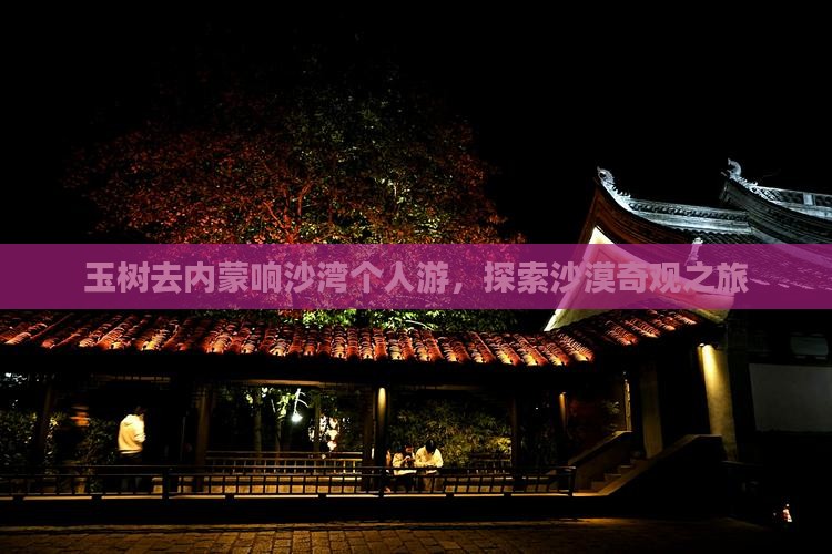 玉树去内蒙响沙湾个人游，探索沙漠奇观之旅