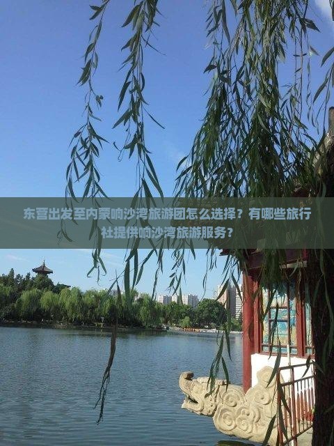 东营出发至内蒙响沙湾旅游团怎么选择？有哪些旅行社提供响沙湾旅游服务？