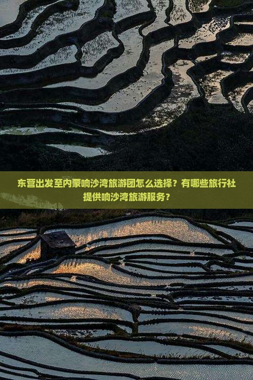 东营出发至内蒙响沙湾旅游团怎么选择？有哪些旅行社提供响沙湾旅游服务？
